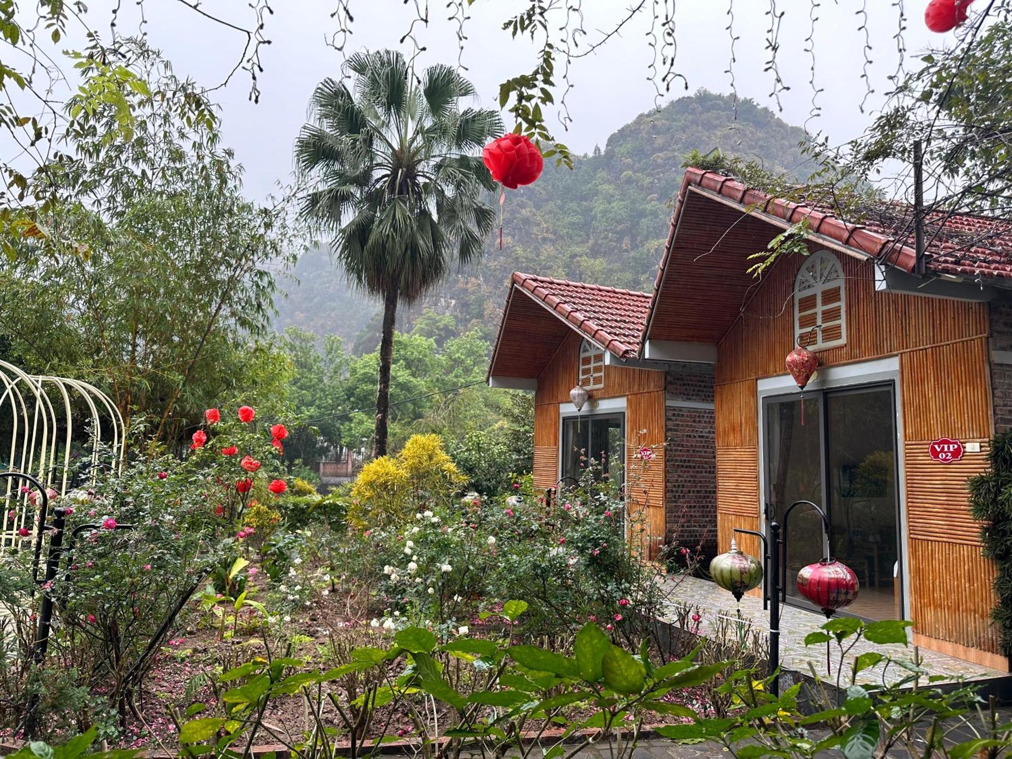 Hoanglong Riverside Homestay Ninh Binh Bagian luar foto